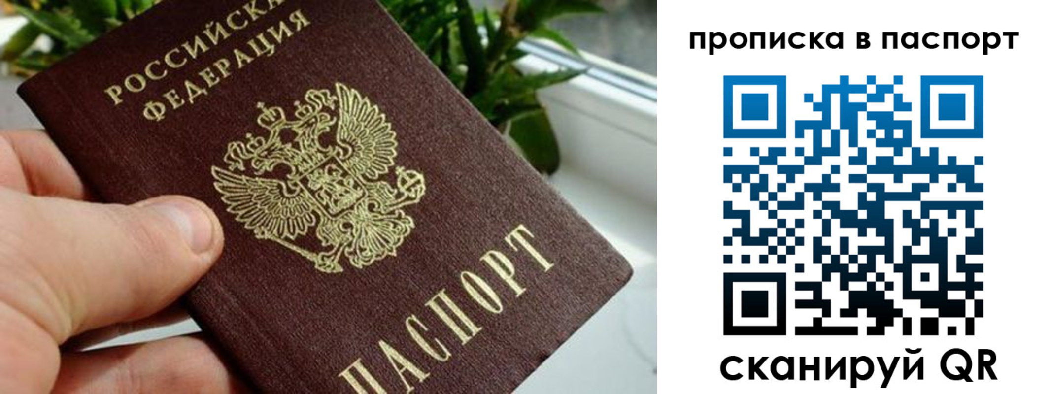 пропишу в квартире в Тимашёвске